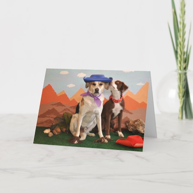 Carte photo de 2 chiens affectueux avec des casquettes (Devant)