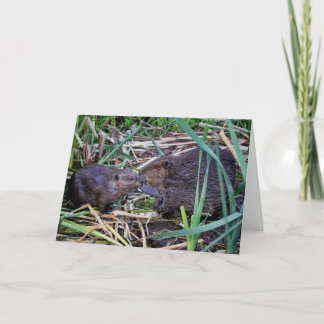 Carte Photo de baisers des castors