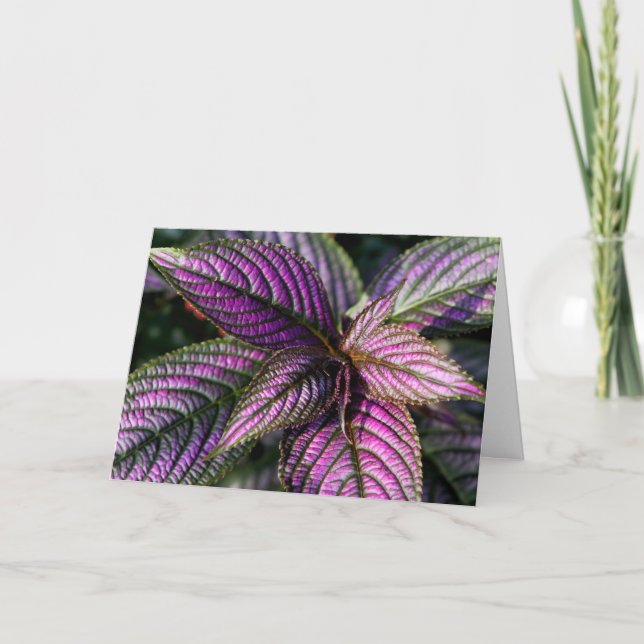 Carte photo de bénédiction d'anniversaire (Devant)