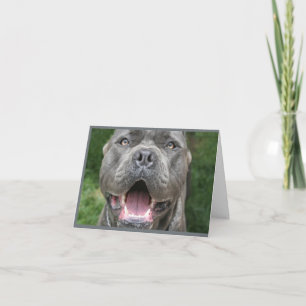 Carte Photo de Cane Corso Card