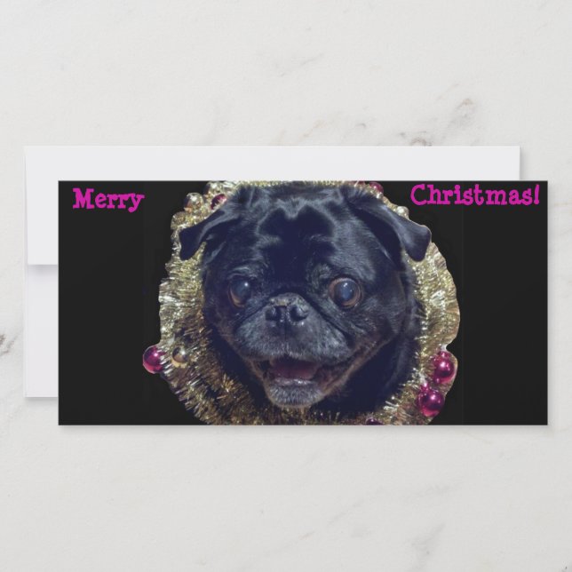Carte photo de Carlin de Noël fou (Devant)