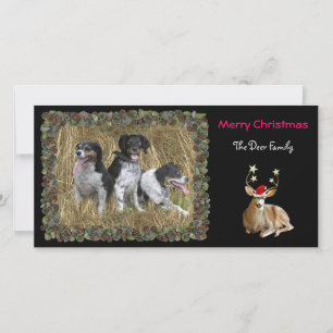 Carte photo de cerfs communs de Noël