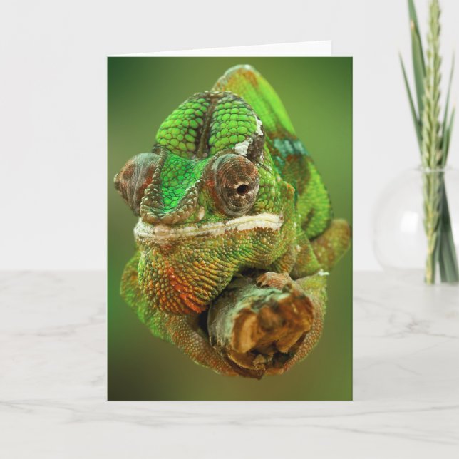 Carte Photo de Chameleon (Devant)