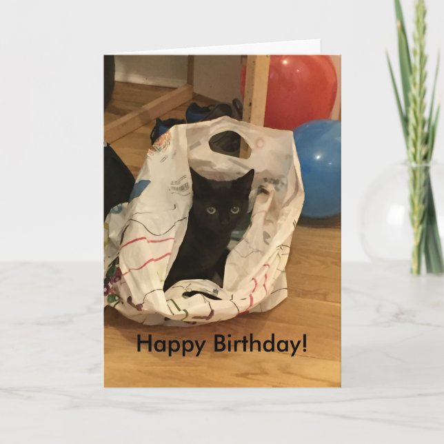 Carte Photo de chat personnalisée Anniversaire (Devant)