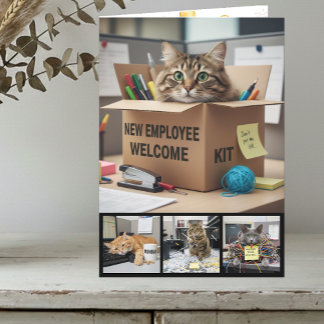 Carte photo de chats amusants au bureau, Chat d'af