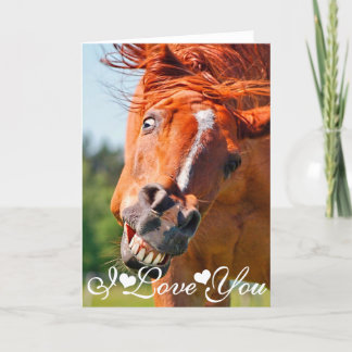 Carte Photo de cheval drôle qui rit Je t'aime