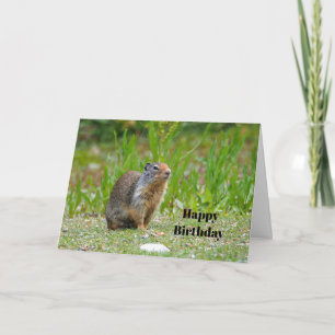 Carte Photo de chien des Prairies Faune Anniversaire
