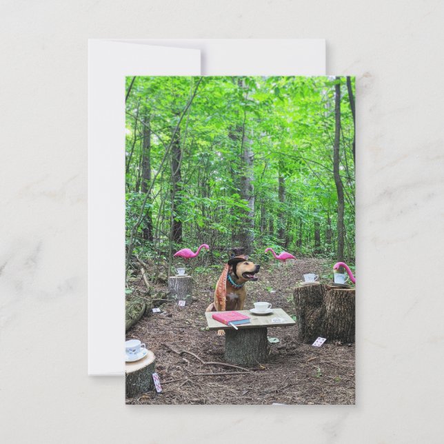 Carte photo de chien drôle de chapelier fou Cospla (Devant)