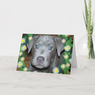 Carte Photo de chiot Labrabull avec des fleurs / Photo d