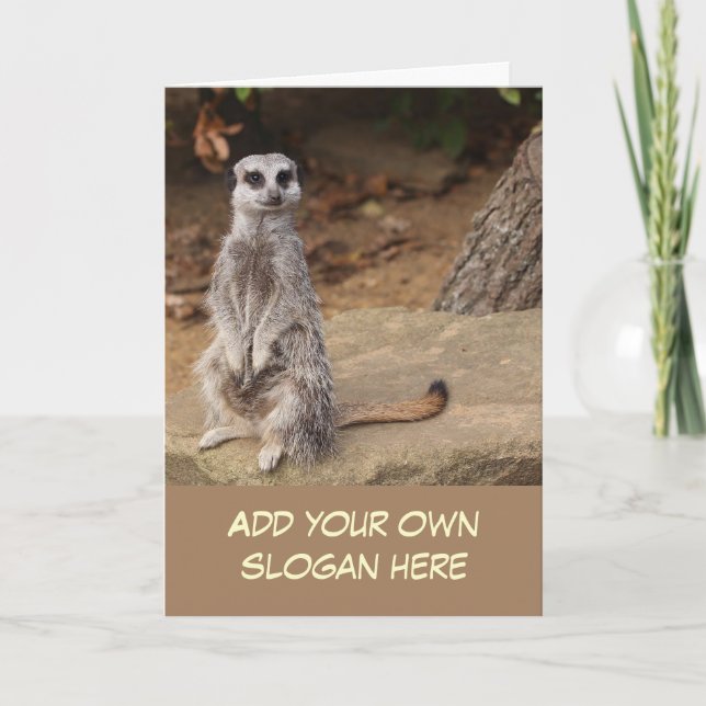 Carte Photo de Cute Meerkat pour vous Customiser (Devant)