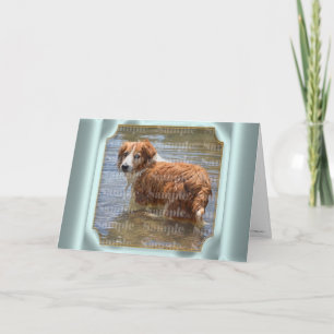 Carte PHOTO de deuil des animaux   avec poème