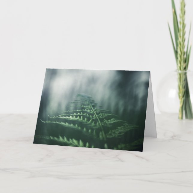 Carte Photo de Fern Nature (Devant)