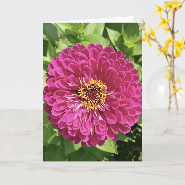 Carte Photo de fleur de Zinnia vive (Fleur jaune)
