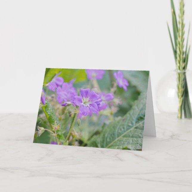 Carte Photo de fleur violette de géranium sauvage (Devant)
