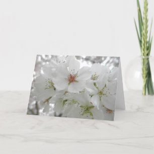 Carte Photo de fleurs de cerisiers blancs