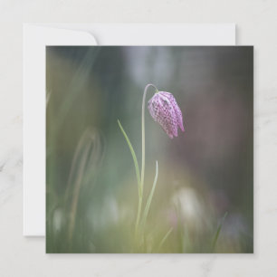 Carte photo de fleurs d'échecs