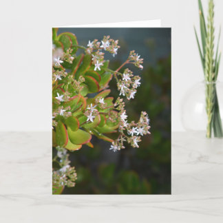 Carte photo de fleurs Jade