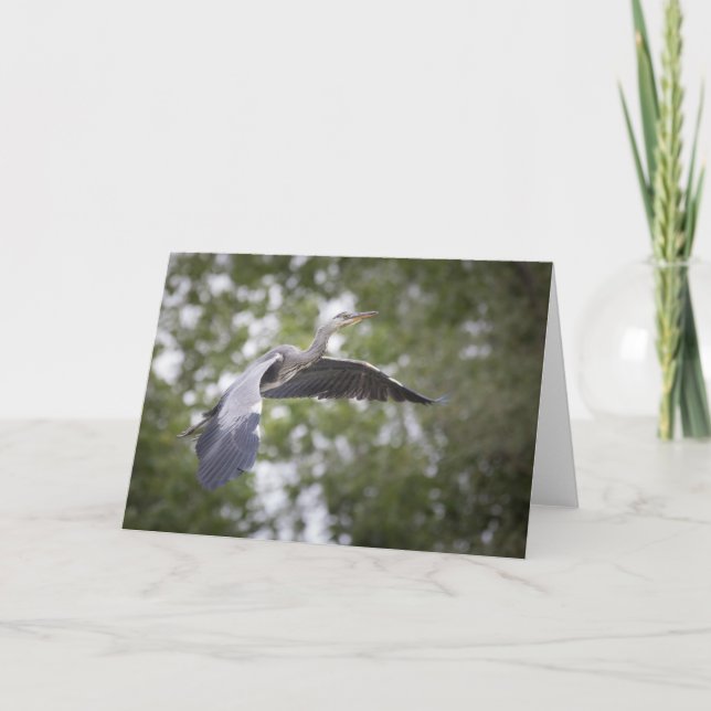 Carte Photo de Grey Heron Nature (Devant)