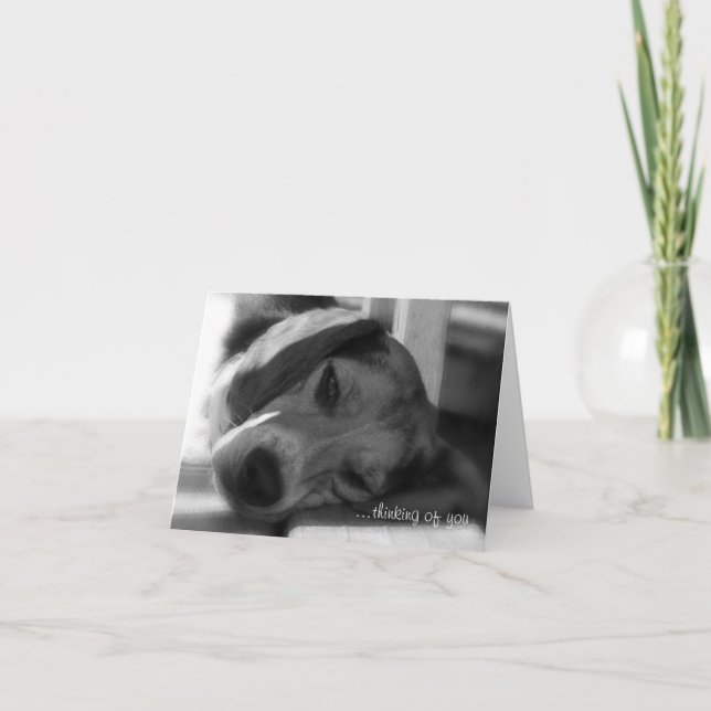 Carte Photo de gros plan de beagle Dog Snoopy (Devant)