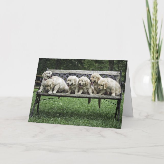 Carte photo de la demi-douzaine de Holly (Devant)