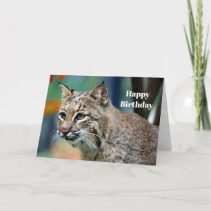 Carte Photo de la faune Bobcat Anniversaire