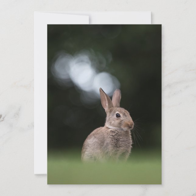 Carte photo de la nature de Bunny de Pâques (Devant)
