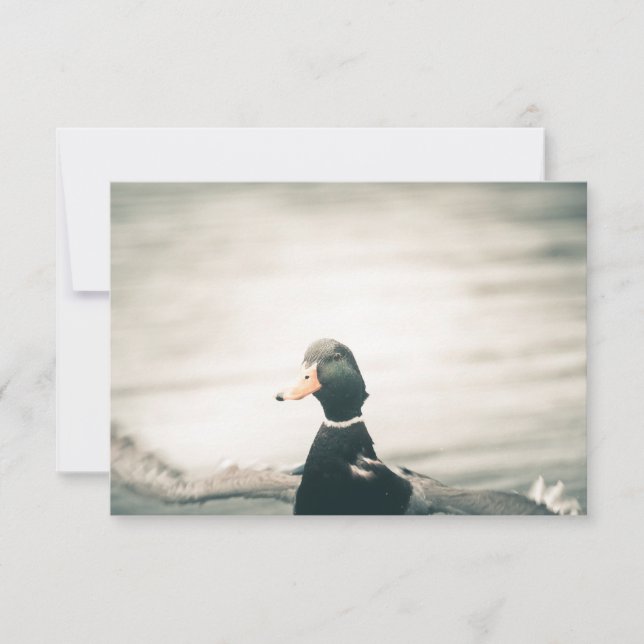 Carte photo de la nature de Canard (Devant)