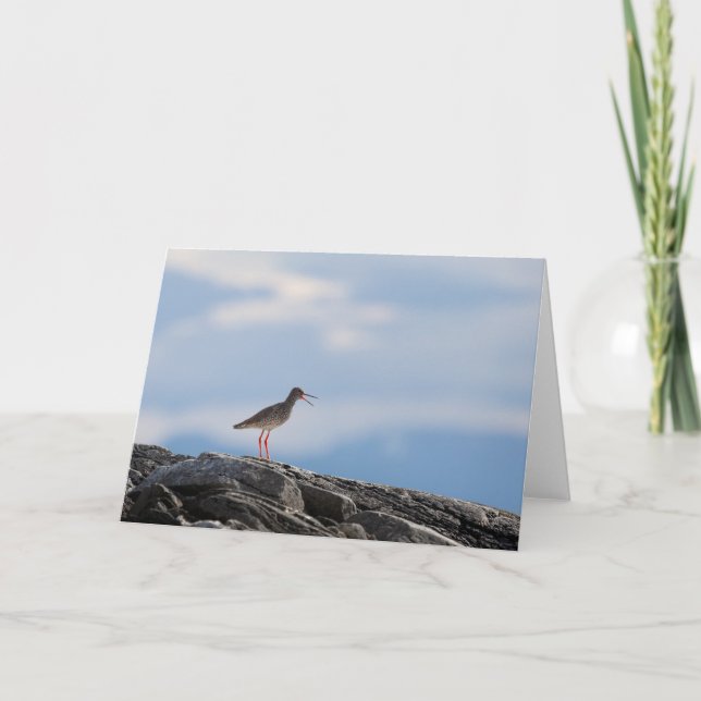 Carte Photo de la nature des oiseaux (Devant)