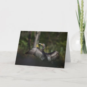 Carte Photo de la nature du Cormoran