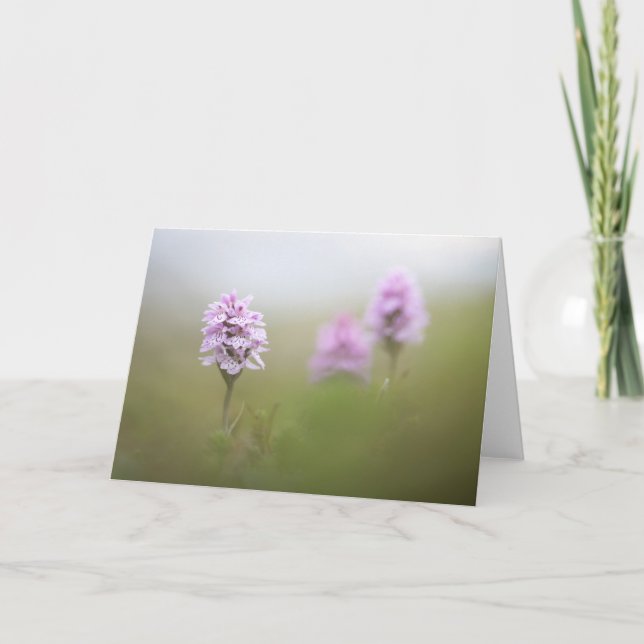 Carte Photo de la nature sauvage de l'orchidée (Devant)
