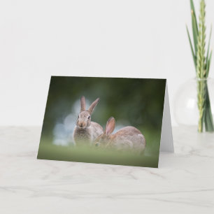Carte Photo de lapin de nature