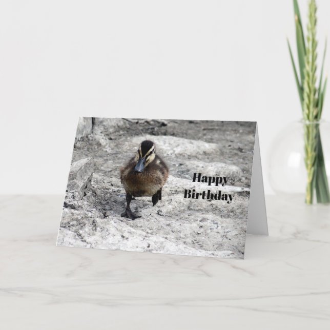 Carte Photo de Mallard Duckling Anniversaire (Devant)