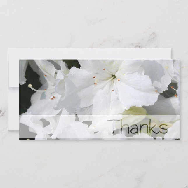 Carte photo de Merci de l'Azalea blanc (Devant)