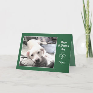 Carte Photo de mignon chien assis avec le meilleur ami p