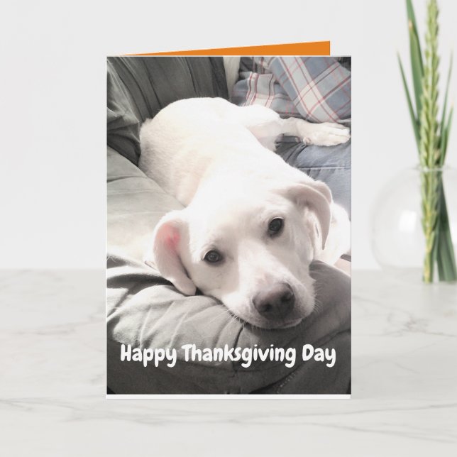 Carte Photo de mignon chien blanc avec papa Thanksgiving (Devant)