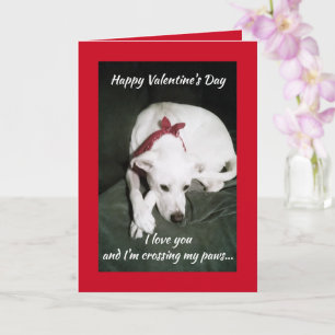 Carte Photo de mignon chien blanc Saint Valentin