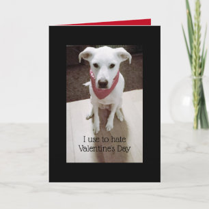 Carte Photo de mignon chien en colère Valentine's Day Bl
