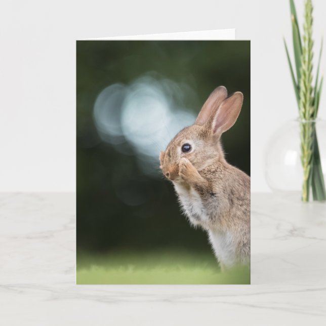 Carte Photo de nature du lapin de Pâques (Devant)