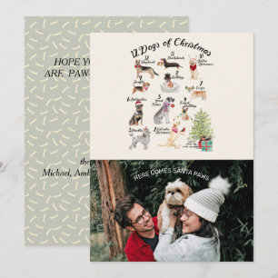 Carte Photo de Noël 12 Chiens Noël avec Père Noël Paws