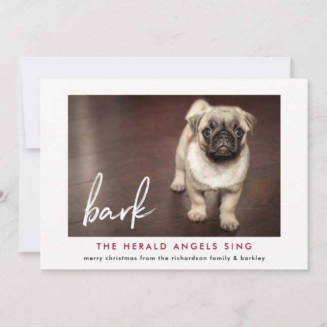 Carte photo de Noël amusante du chien | Red (Devant)