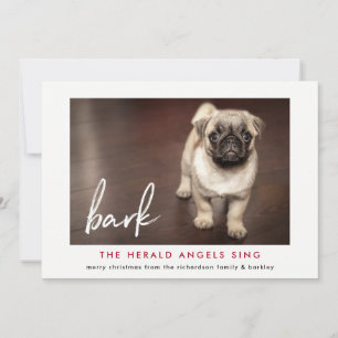 Carte photo de Noël amusante du chien   Red