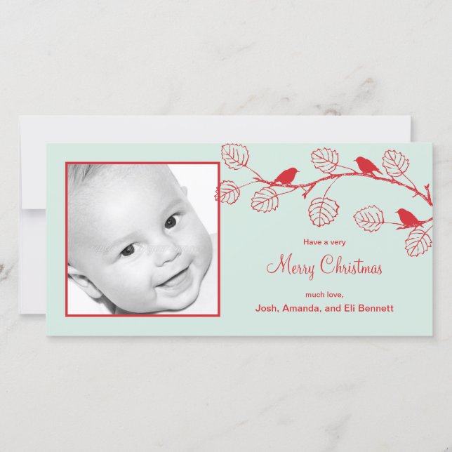 Carte photo de Noël Oiseaux de vacances (Devant)