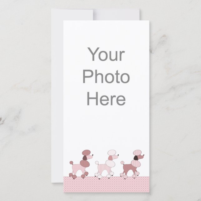 Carte photo De Parade Aux Poodles Roses (Devant)