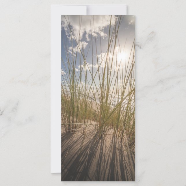 Carte photo de plage et de Sun Nature (Devant)