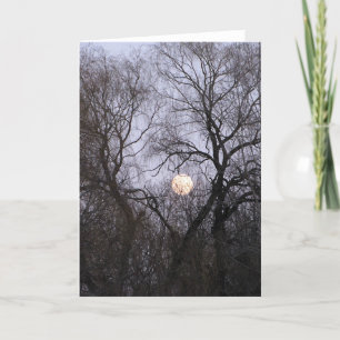 Carte Photo de pleine lune parmi les arbres nus
