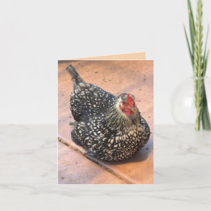 Carte Photo de poulet noir et blanc au repos
