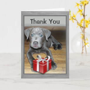 Carte Photo de remerciement pour un nouveau chien / chio