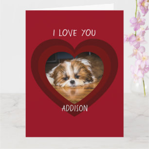 Carte photo de Saint-Valentin cœur d'amour de shih