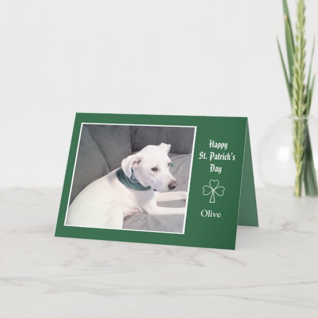 Carte Photo de Shamrocks de chiens blancs mignons et de  (Devant)