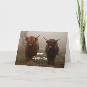 Carte Photo de vaches highland dans le brouillard Sympat